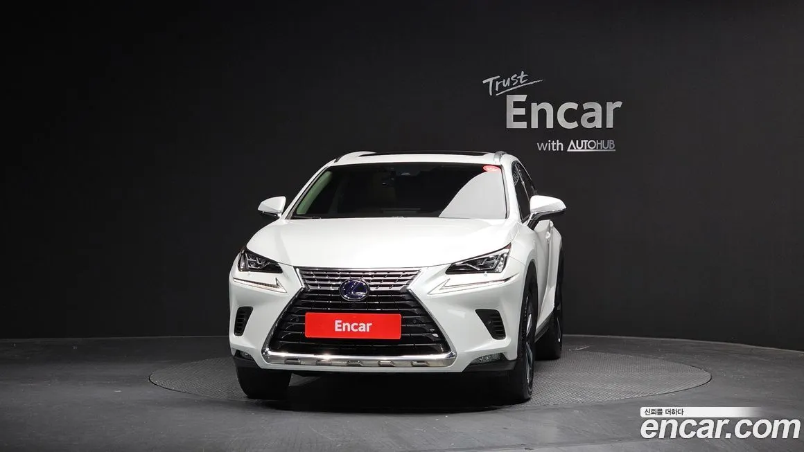 Lexus NX 2021 из KR, фото 3