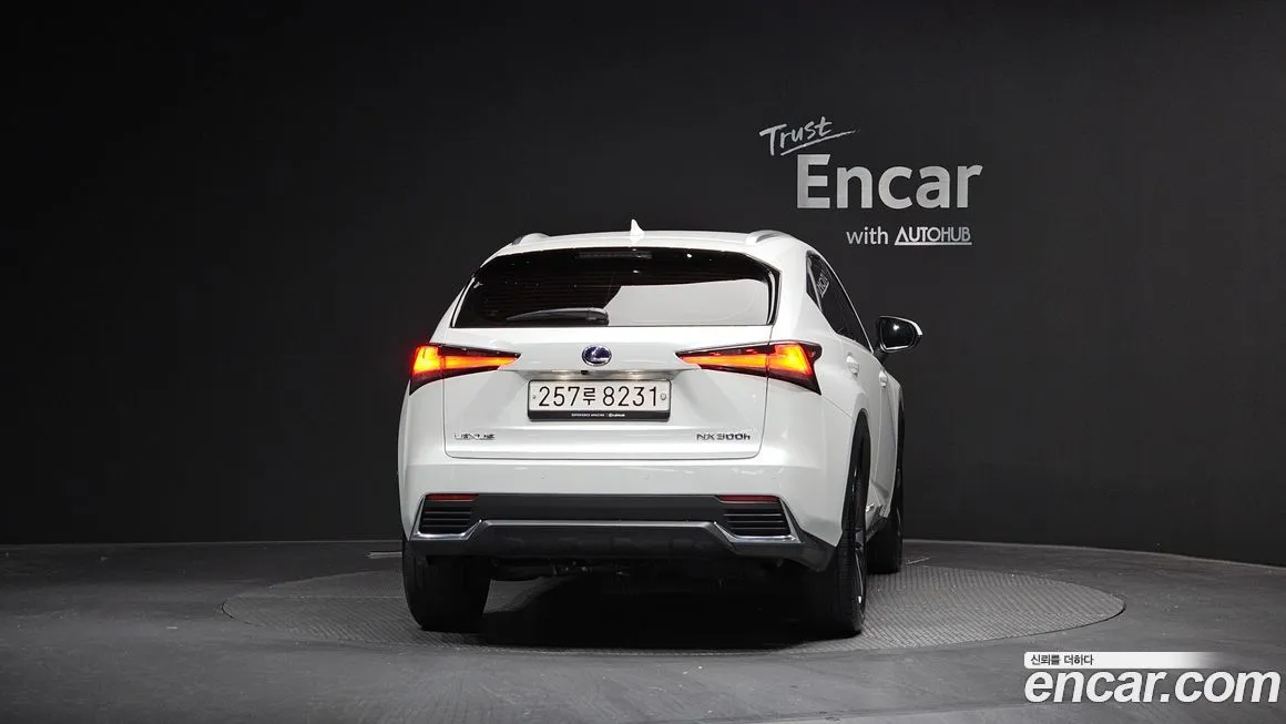 Lexus NX 2021 из KR, фото 4