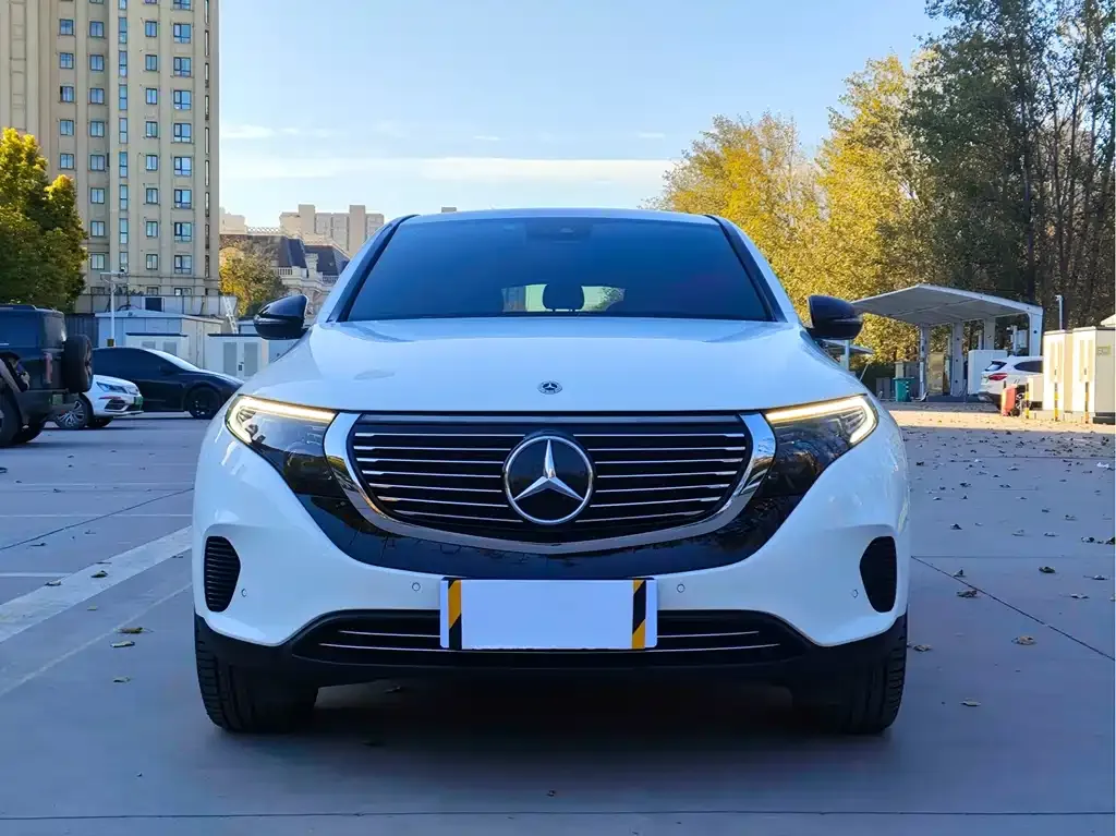 Mercedes-Benz EQC 2021 из CN, фото 2