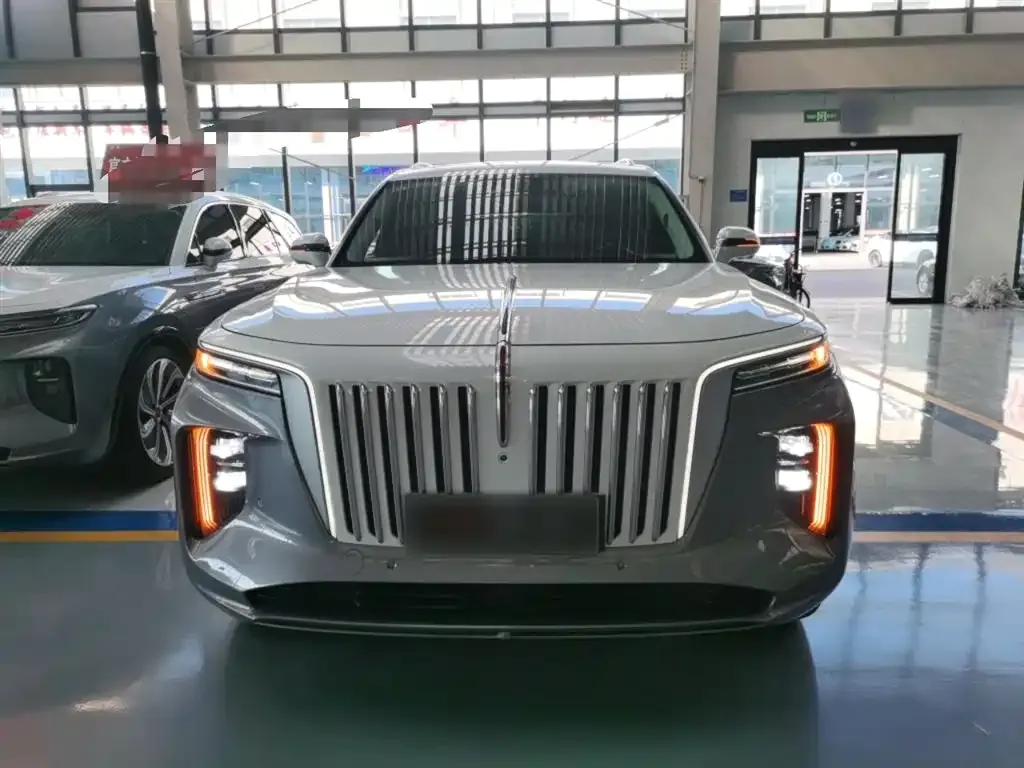 Hongqi E-HS9 2022 из CN, фото 3