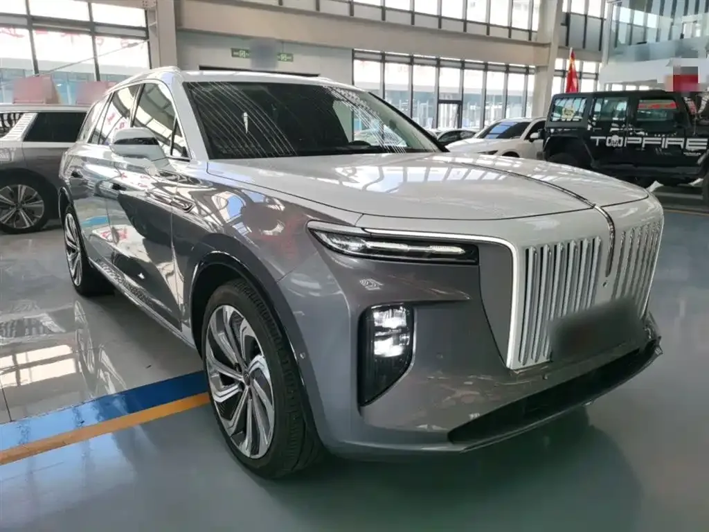 Hongqi E-HS9 2022 из CN, фото 4