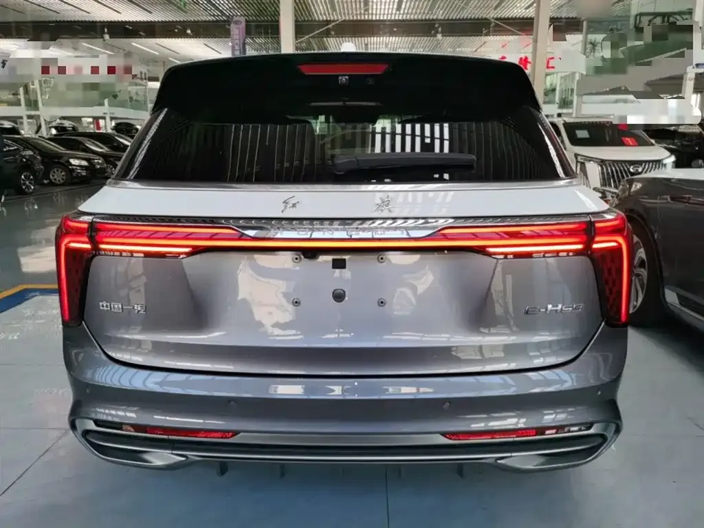 Hongqi E-HS9 2022 из CN, фото 6
