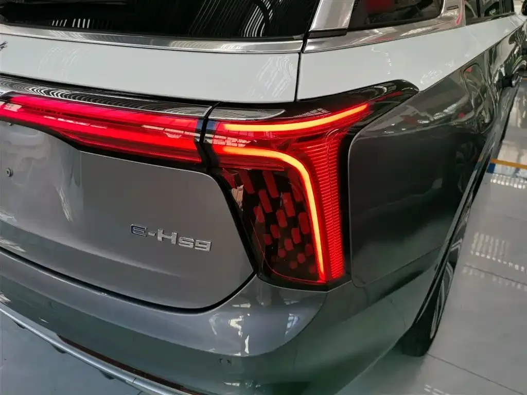 Hongqi E-HS9 2022 из CN, фото 8