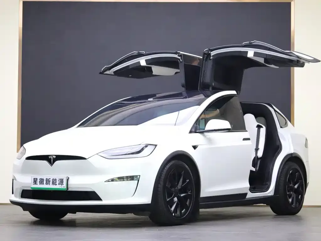 Tesla Model X — фото 1
