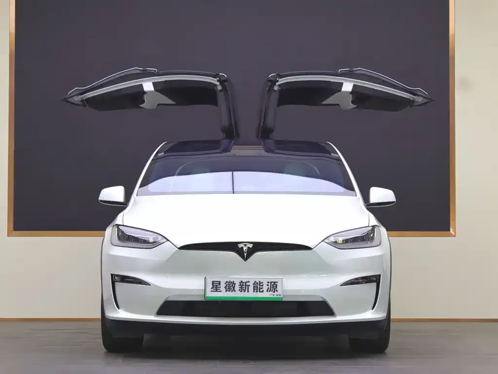 Tesla Model X — фото 2