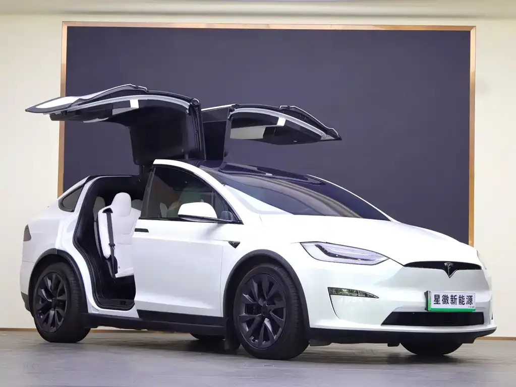Tesla Model X — фото 3