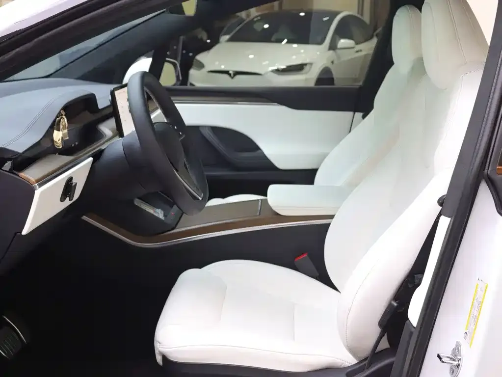 Tesla Model X — фото 6