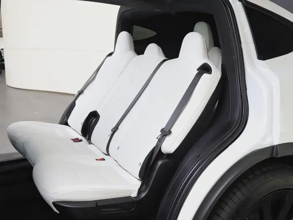 Tesla Model X — фото 7