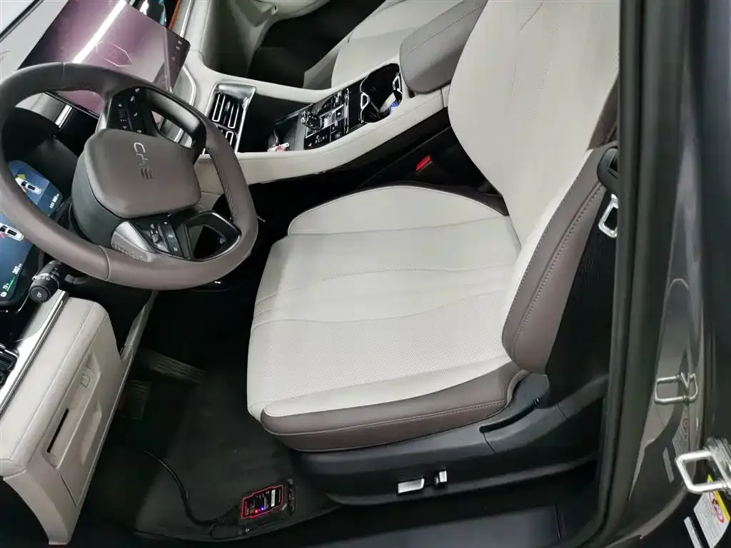 BYD PLUS New Energy 2025 из CN, фото 7
