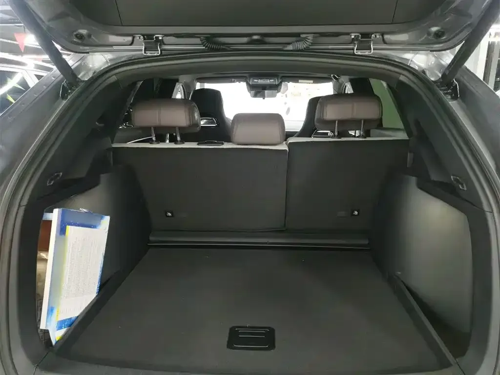 BYD PLUS New Energy 2025 из CN, фото 9