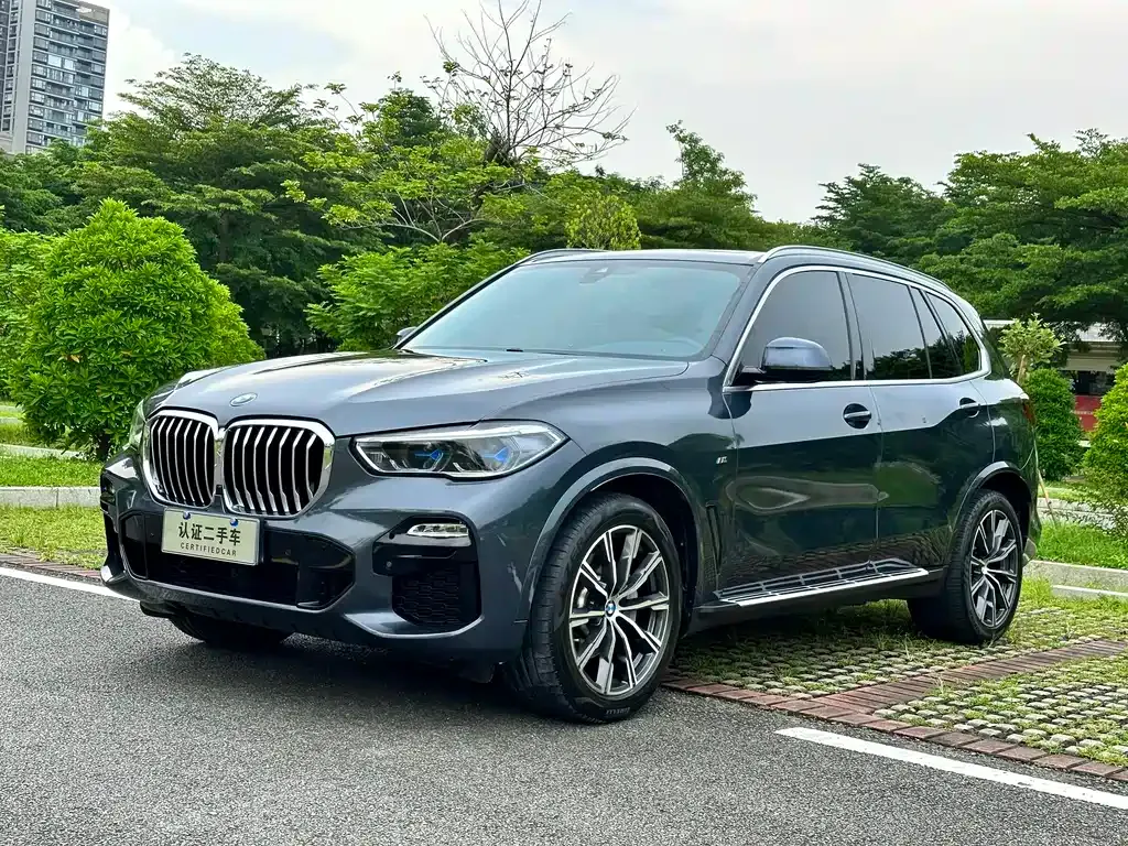 BMW X5 (Import) 2021 из CN, фото 1