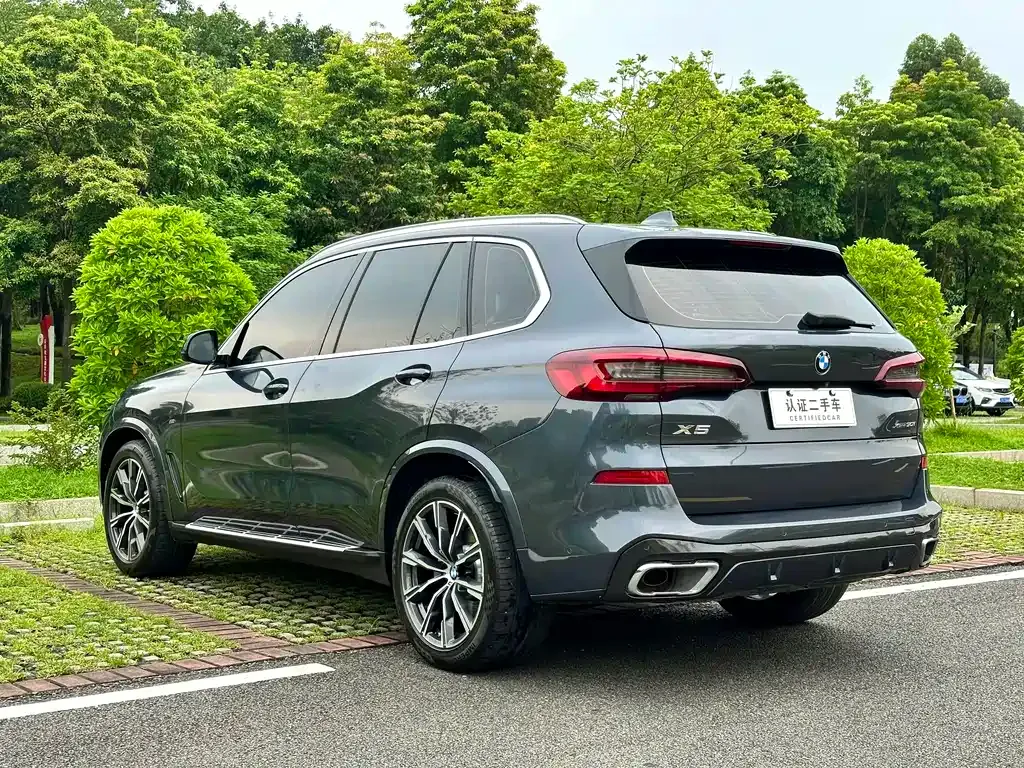 BMW X5 (Import) 2021 из CN, фото 6