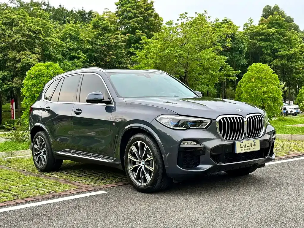 BMW X5 (Import) 2021 из CN, фото 7