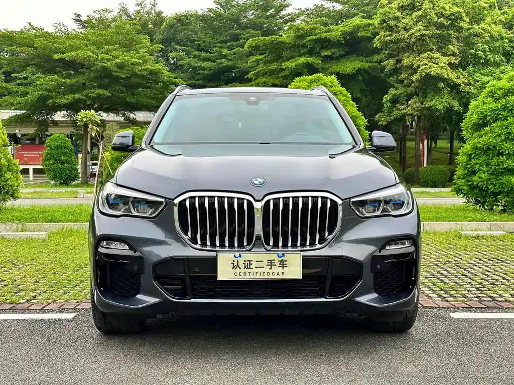 BMW X5 (Import) 2021 из CN, фото 8