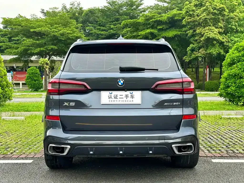 BMW X5 (Import) 2021 из CN, фото 9