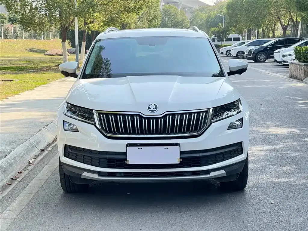 Skoda Kodiaq 2021 из CN, фото 3