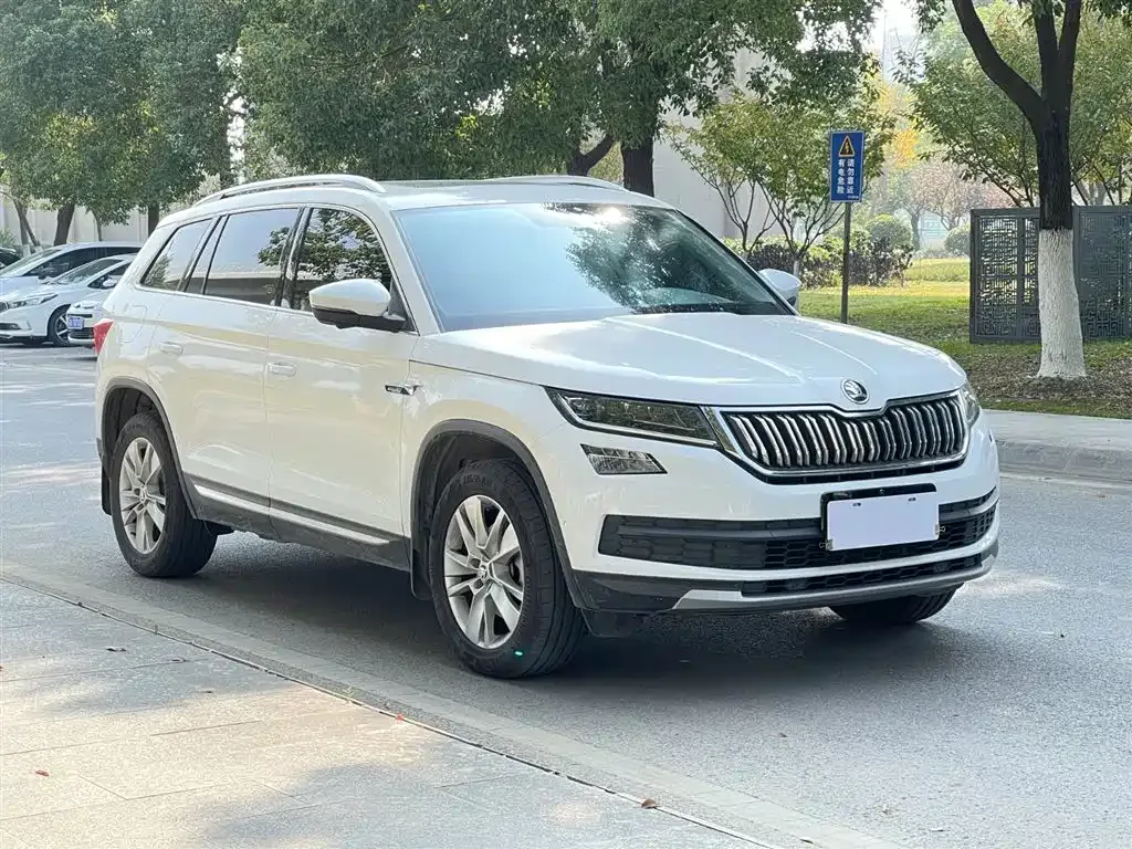 Skoda Kodiaq 2021 из CN, фото 4