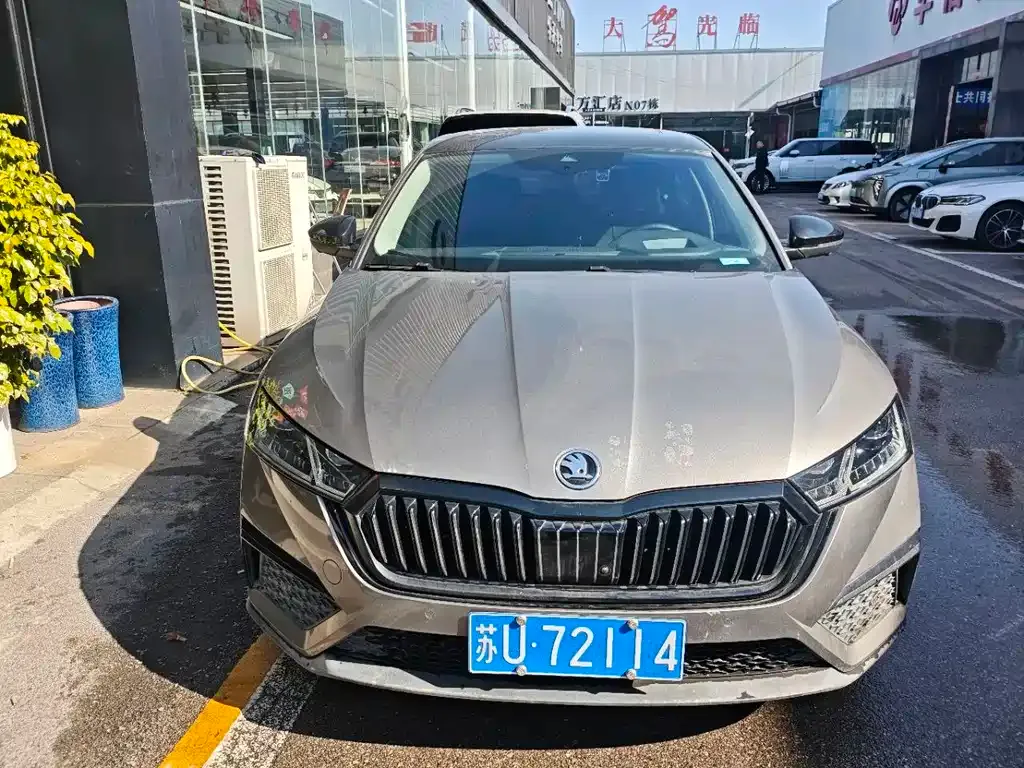 Skoda Octavia 2021 из CN, фото 2
