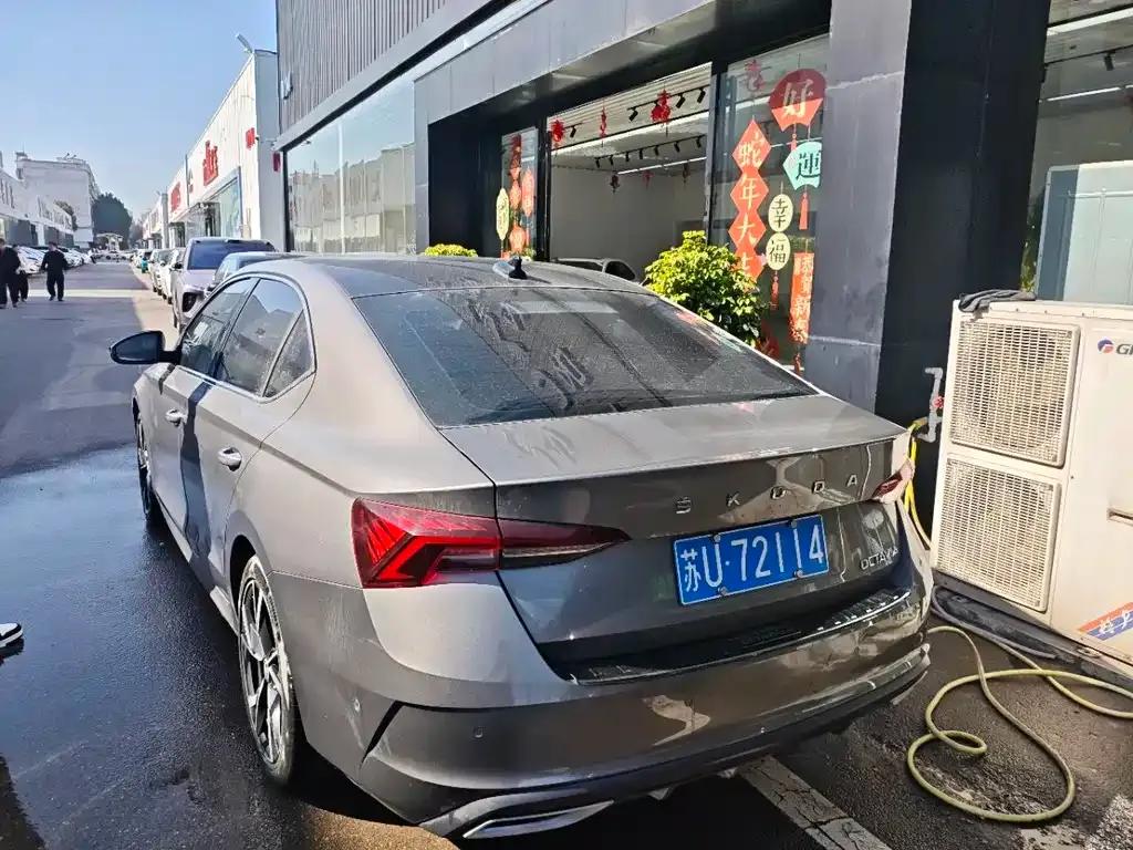 Skoda Octavia 2021 из CN, фото 3