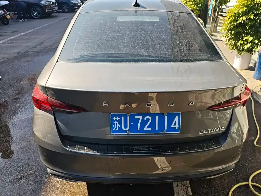 Skoda Octavia 2021 из CN, фото 4