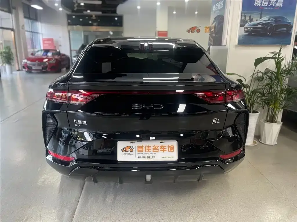 BYD L EV 2025 из CN, фото 5
