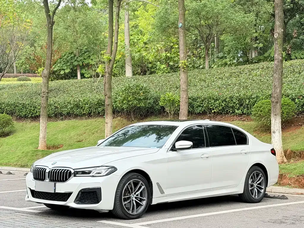 BMW 5 Series — фото 1