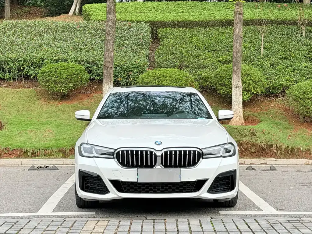 BMW 5 Series — фото 2