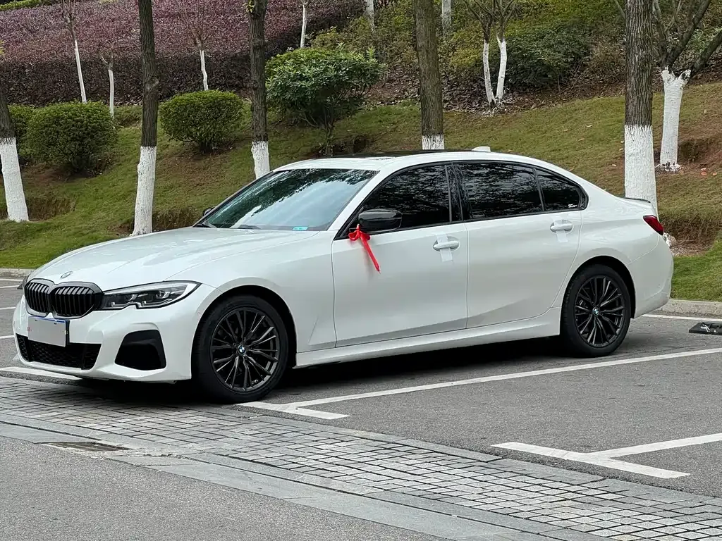 BMW 3 Series 2022 из CN, фото 4
