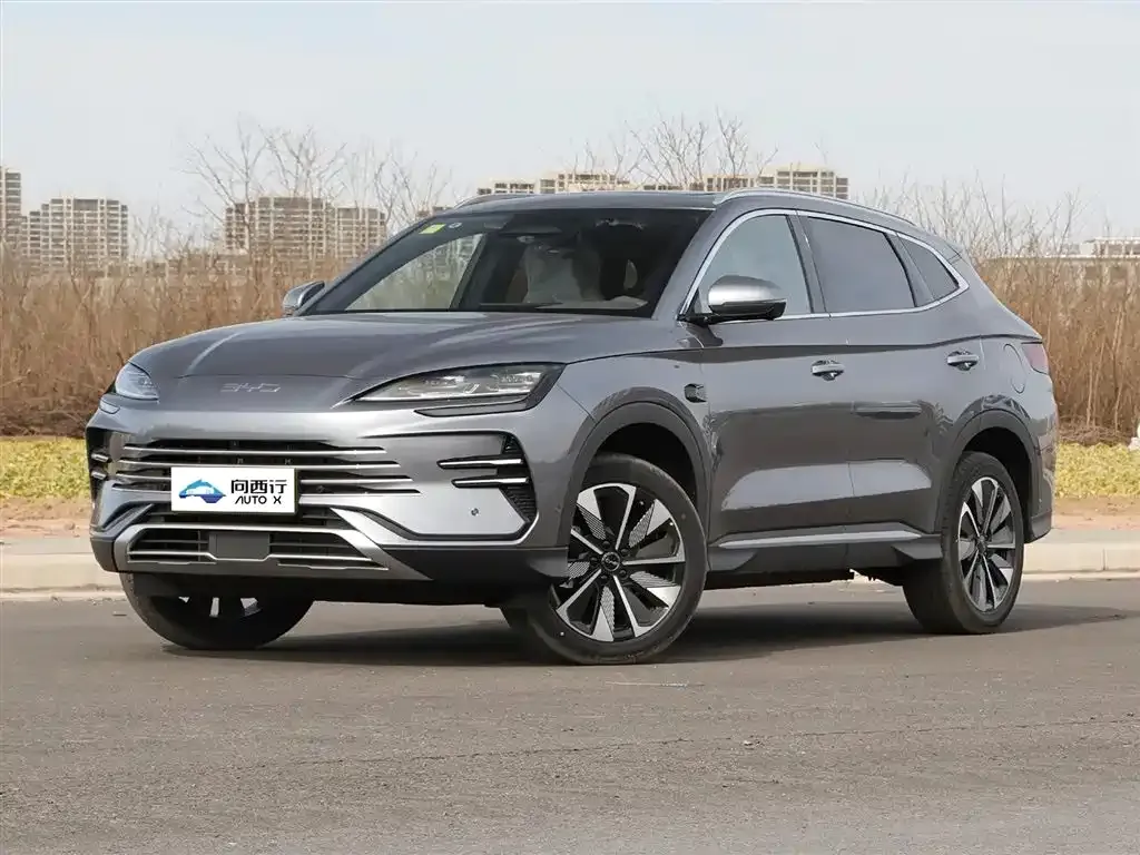 BYD PLUS New Energy 2025 из CN, фото 1