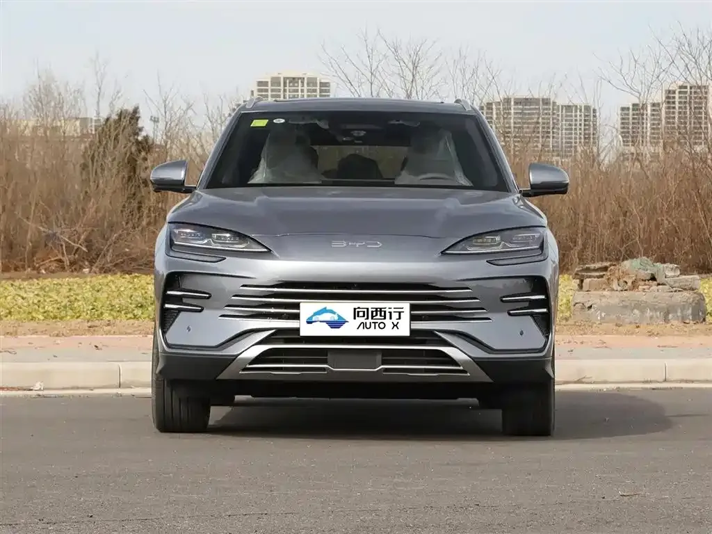 BYD PLUS New Energy 2025 из CN, фото 2