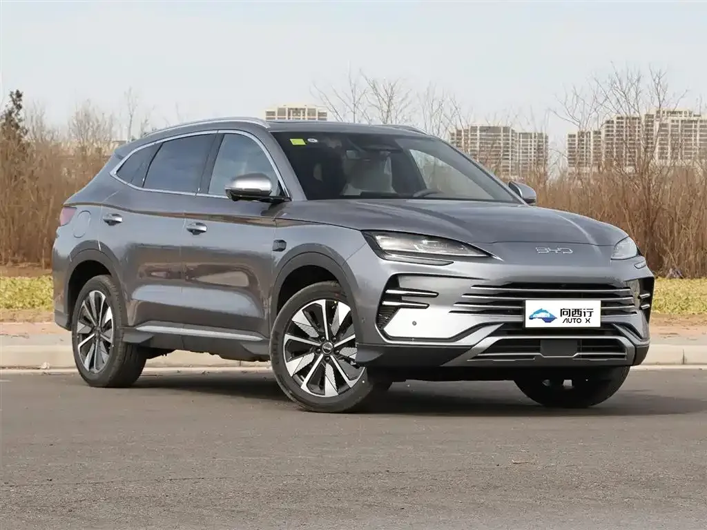 BYD PLUS New Energy 2025 из CN, фото 5