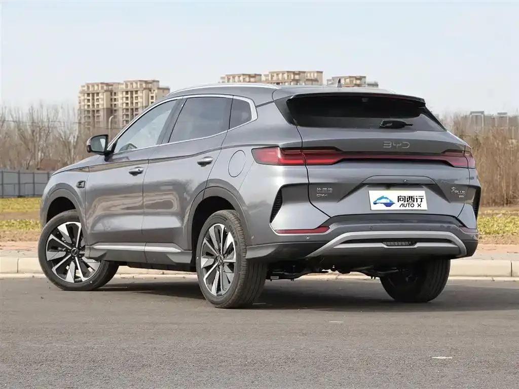 BYD PLUS New Energy 2025 из CN, фото 6