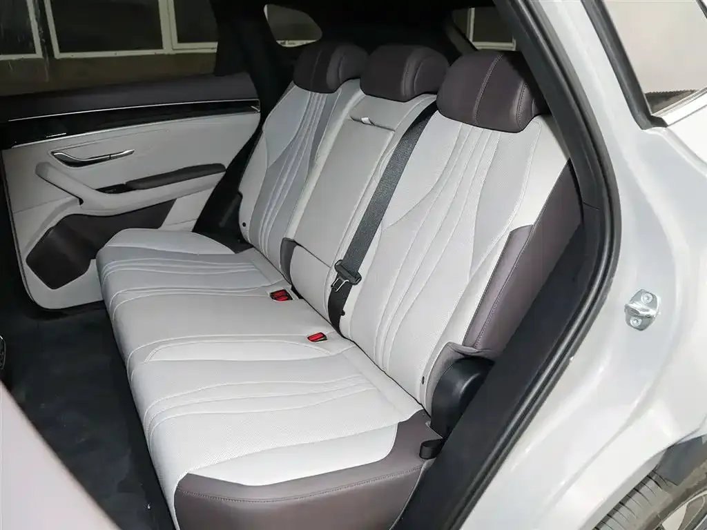 BYD PLUS New Energy 2025 из CN, фото 9