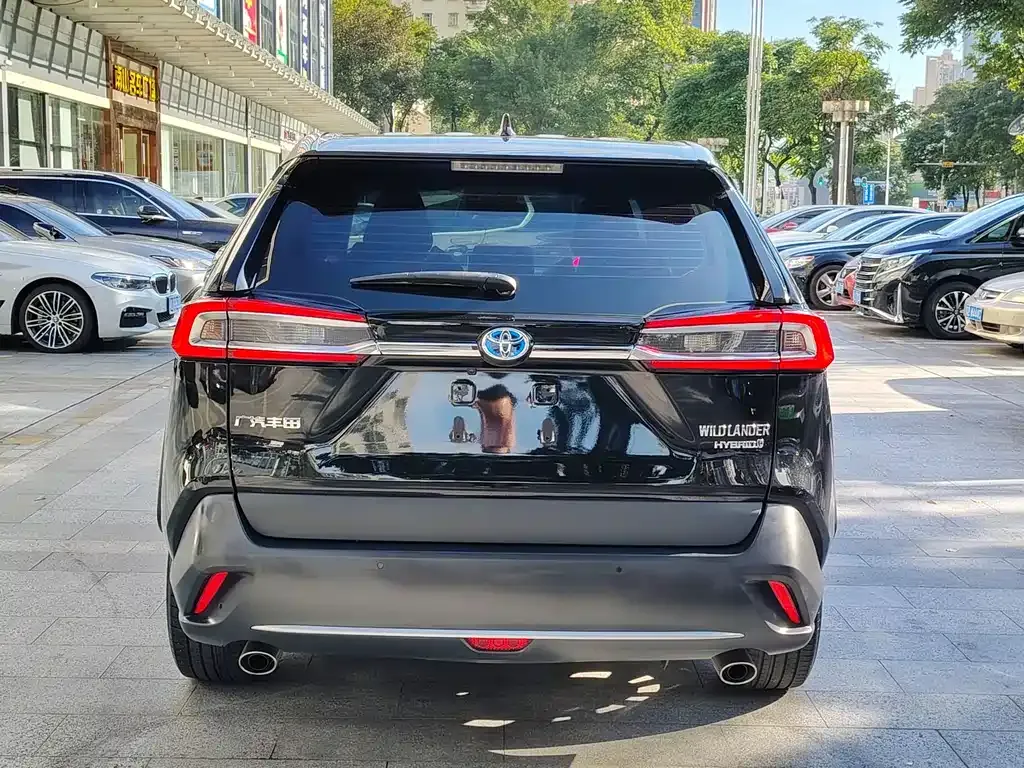 Toyota Wildlander 2022 из CN, фото 8
