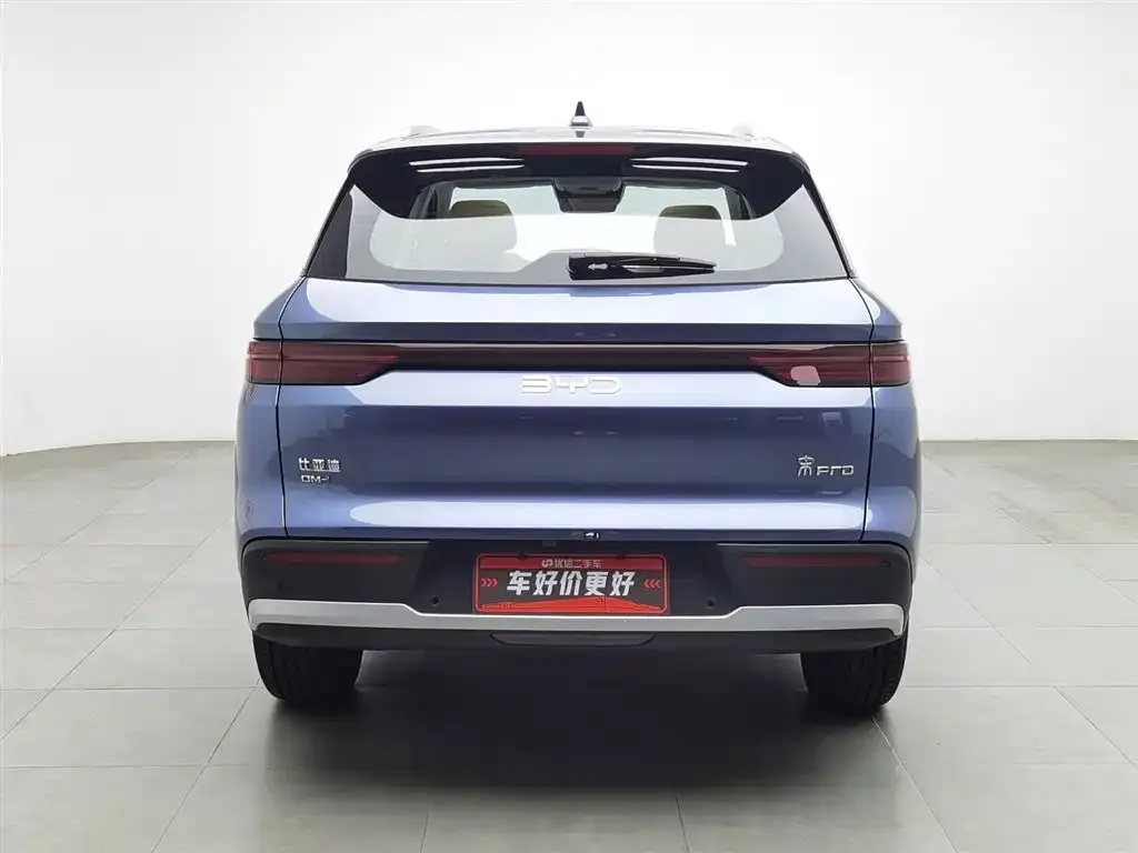BYD Pro New Energy 2024 из CN, фото 4