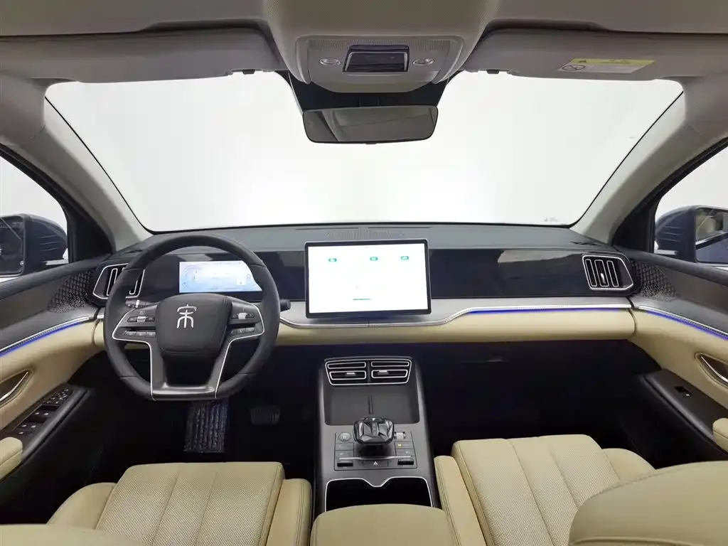 BYD Pro New Energy 2024 из CN, фото 5