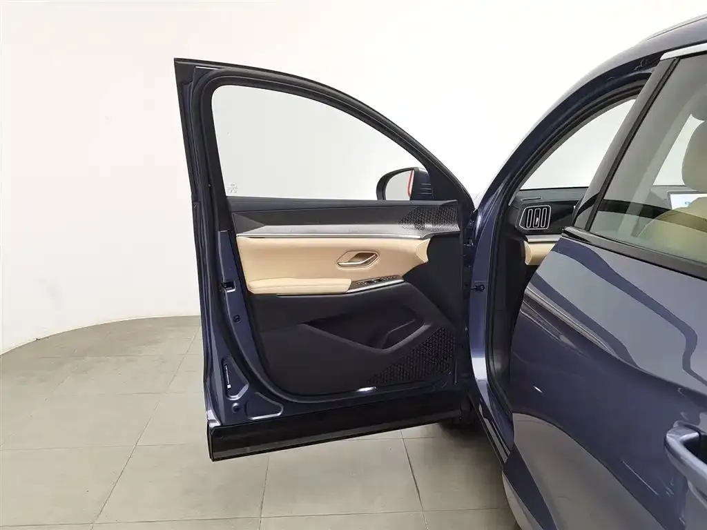 BYD Pro New Energy 2024 из CN, фото 8