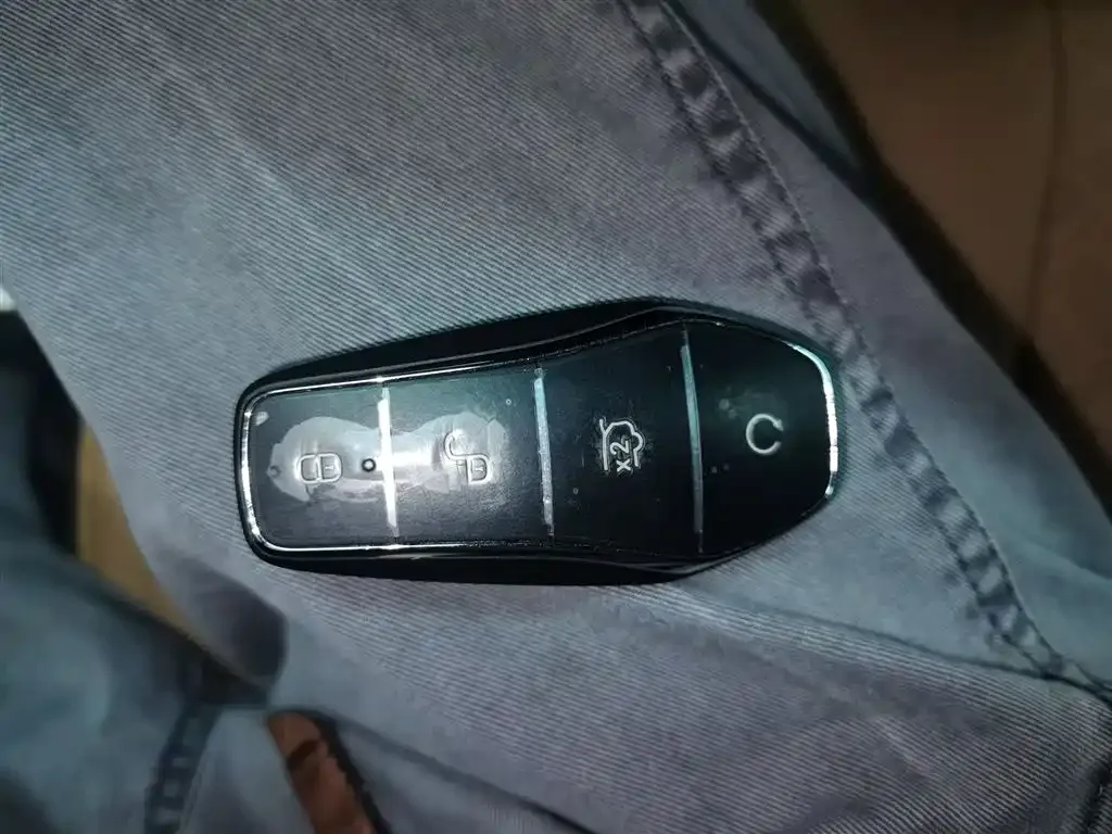 BYD L DM-i 2024 из CN, фото 9
