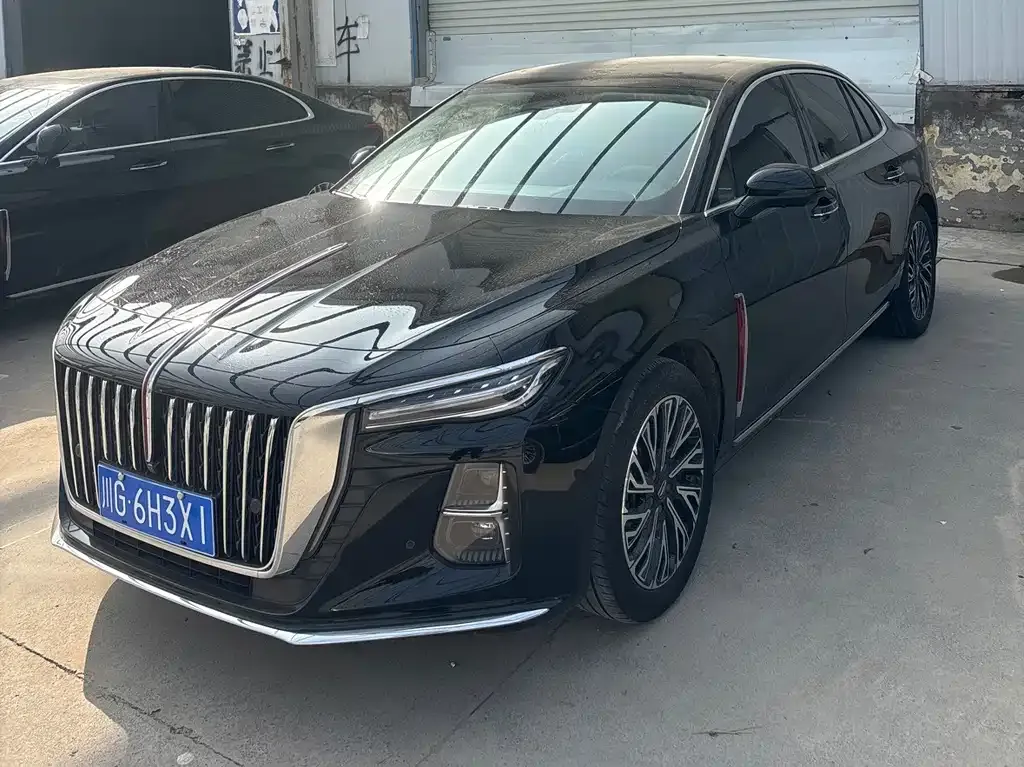 Hongqi H5 2024 из CN, фото 1