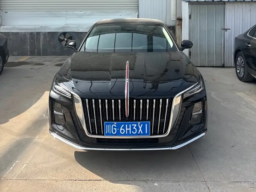 Hongqi H5 2024 из CN, фото 2