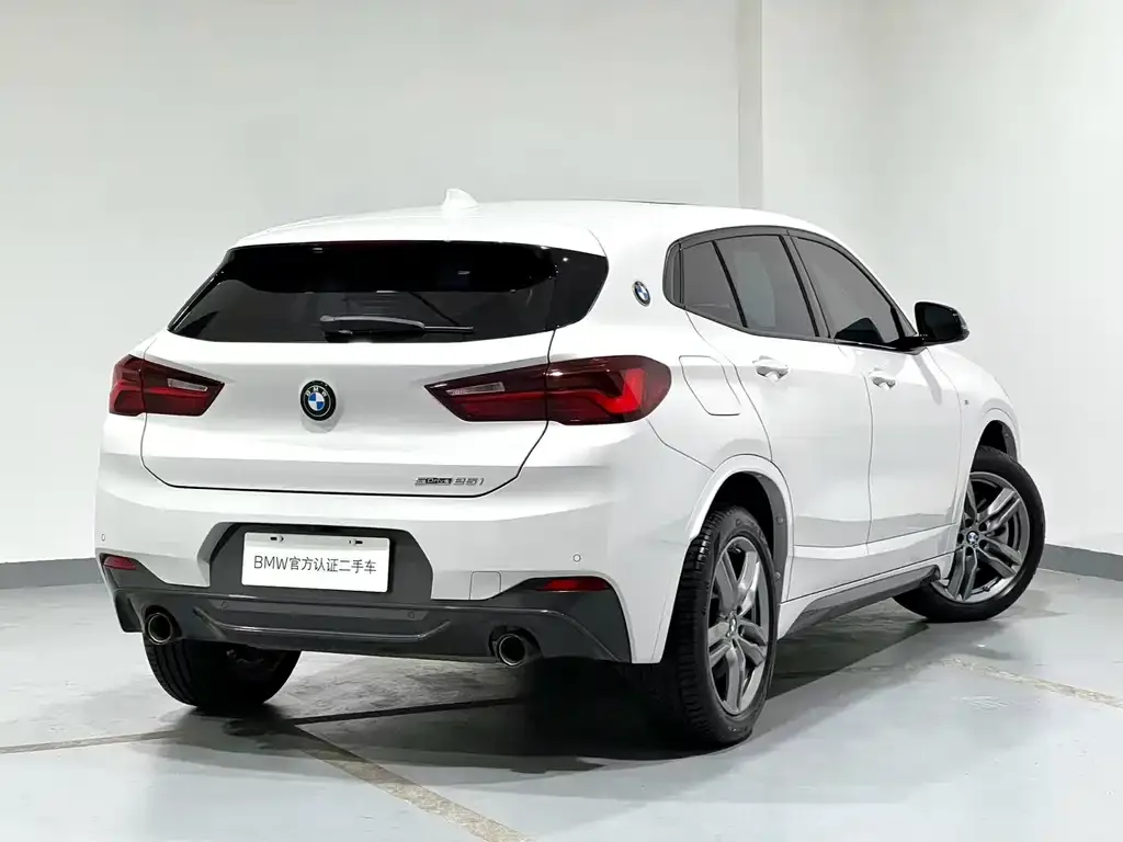 BMW X2 2023 из CN, фото 9