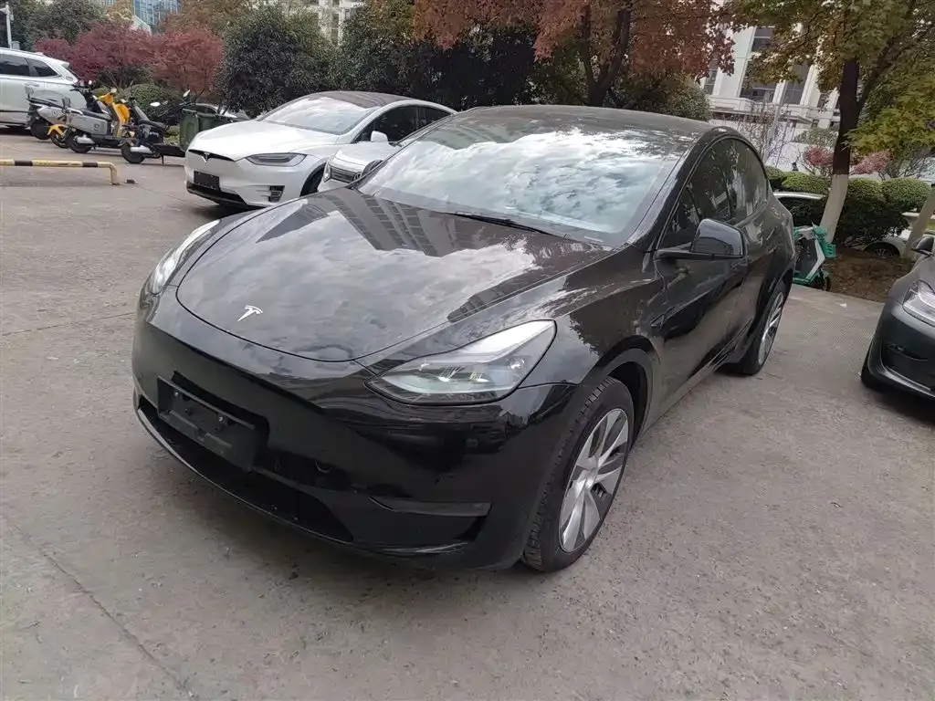 Tesla Model Y 2023 из CN, фото 2