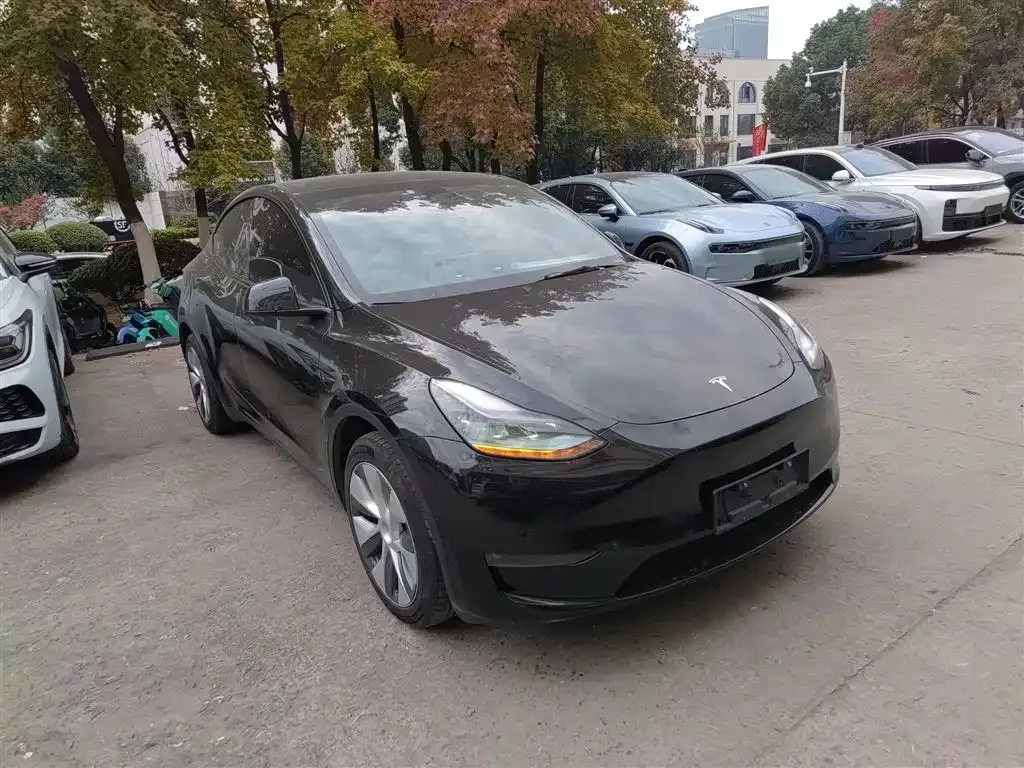 Tesla Model Y 2023 из CN, фото 4