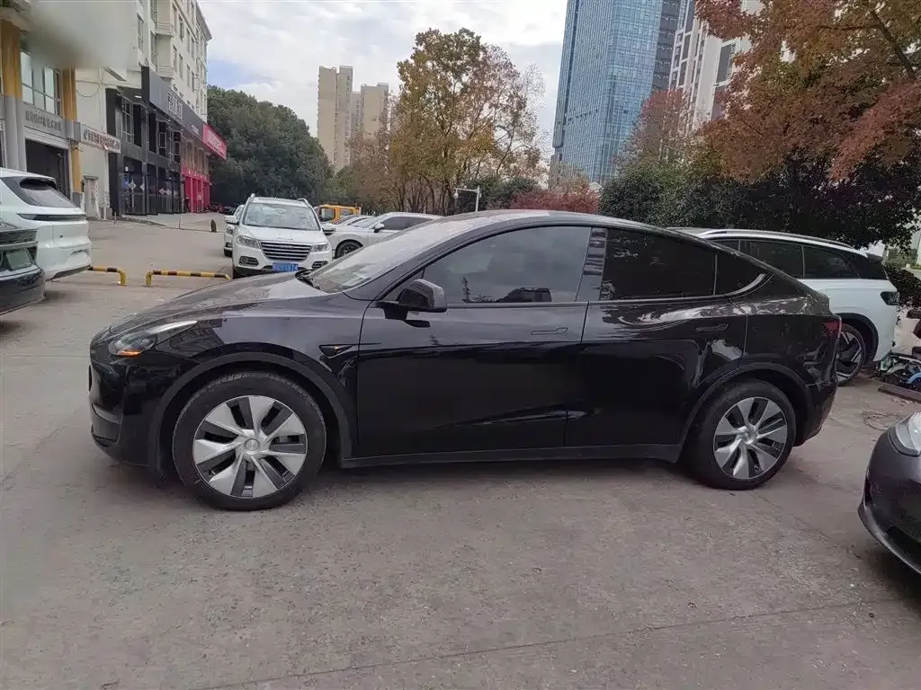 Tesla Model Y 2023 из CN, фото 5