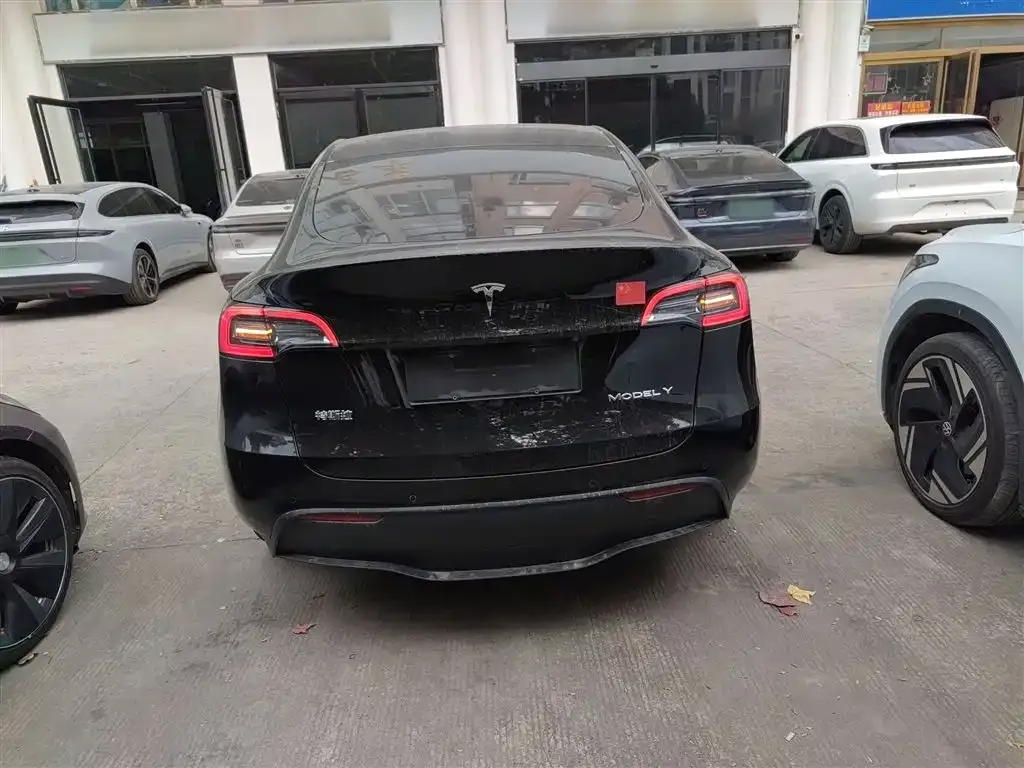 Tesla Model Y 2023 из CN, фото 6