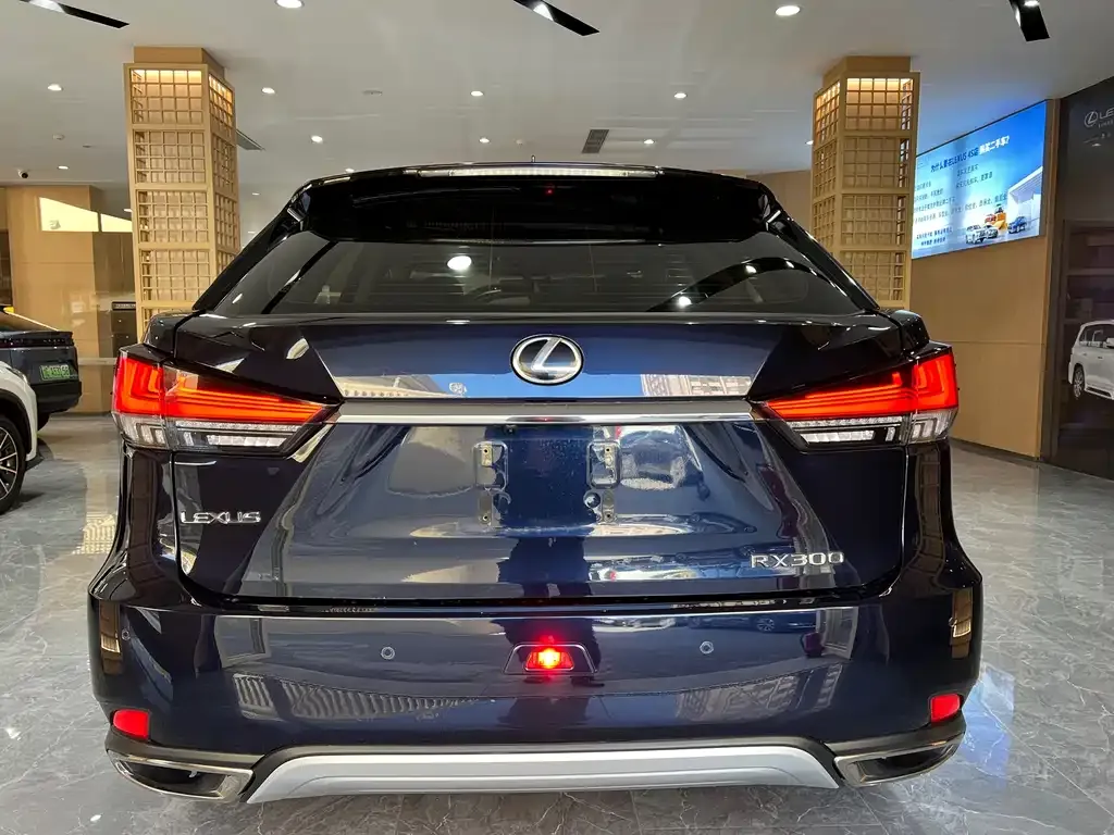 Lexus RX 2021 из CN, фото 5