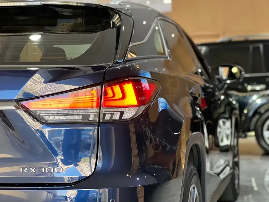 Lexus RX 2021 из CN, фото 8