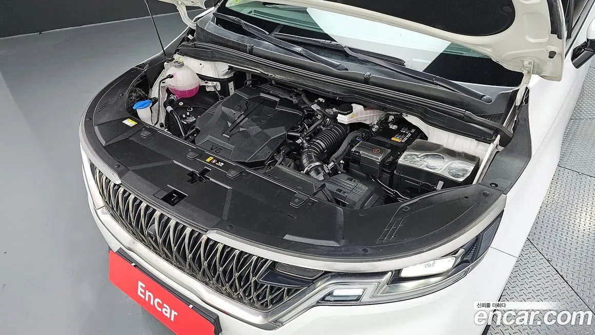 [object Object] Canival 2023 из KR, фото 6