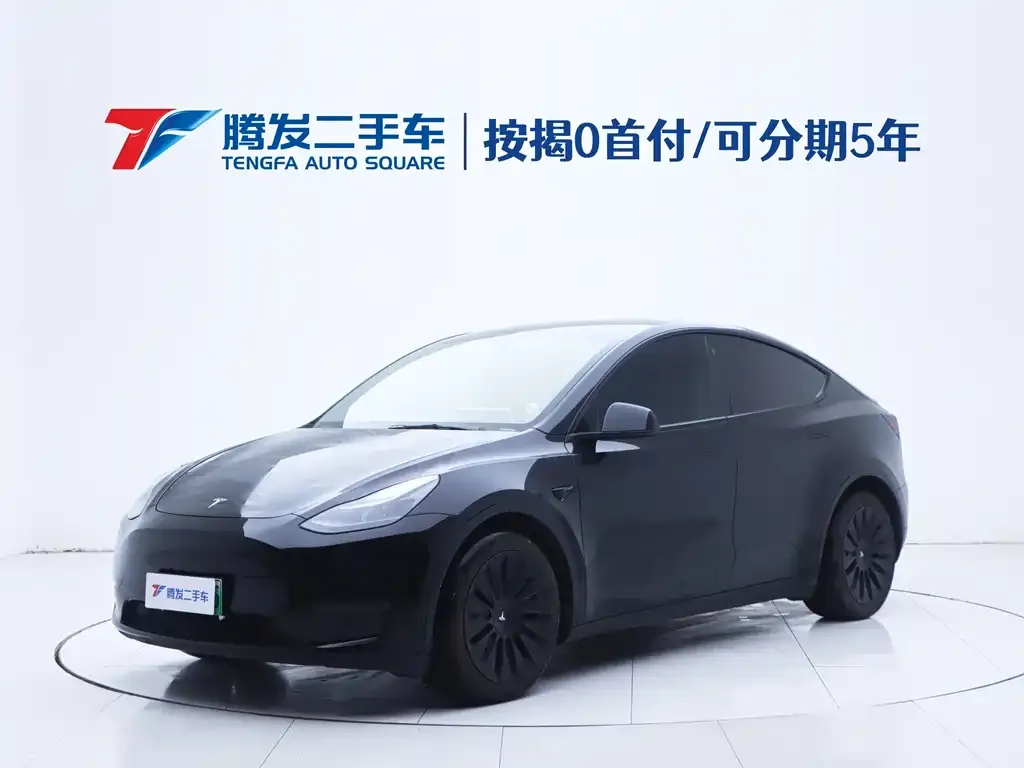 Tesla Model Y 2021 из CN, фото 1