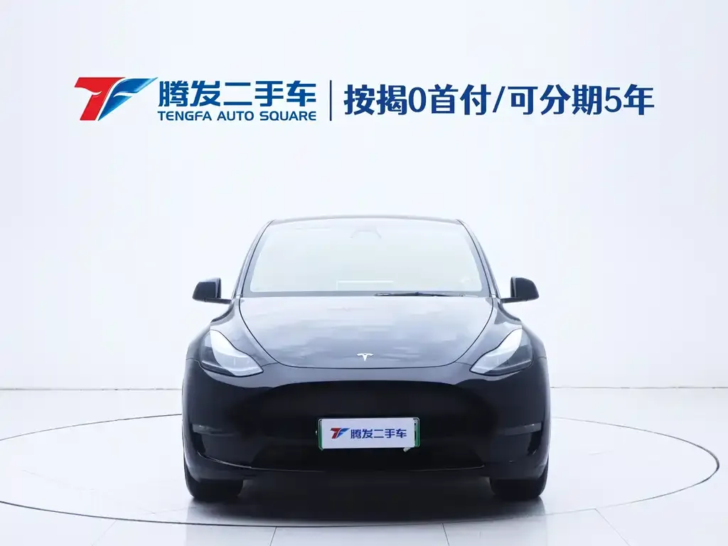 Tesla Model Y 2021 из CN, фото 2